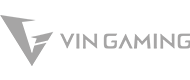 Vin gaming